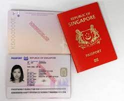 How to Apply Indian Visa For Russian and Singapore Citizens
